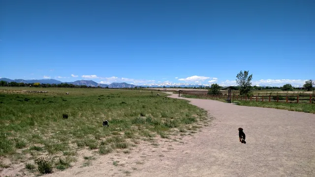 The Great Bark Dog Park
