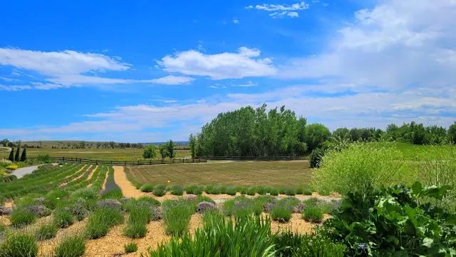 Denver Botanic Gardens