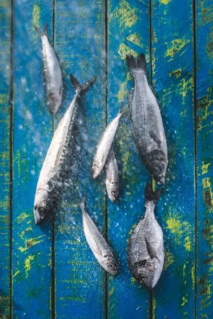 Brevard Museum of History and Natural Science