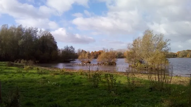 Natuurpunt Damvallei