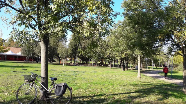 The Park Carrozzone