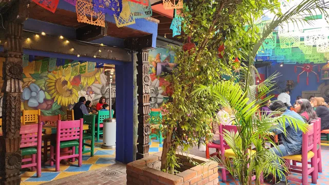 La Casa De Frida Sucursal Pirámide