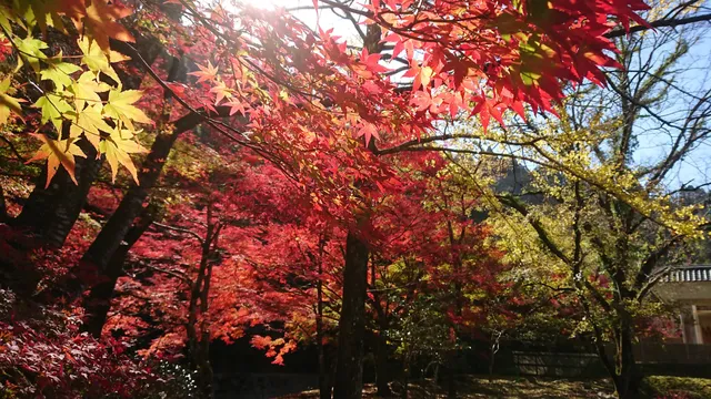 Aoidake Natural Park