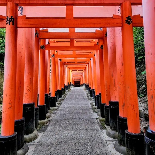 Senbon Torii