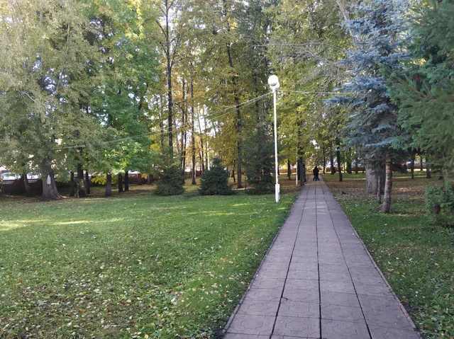 Domskiy Park