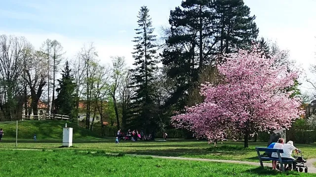 Stadtpark Neunkirchen