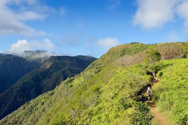 Waihee Ridge Trail