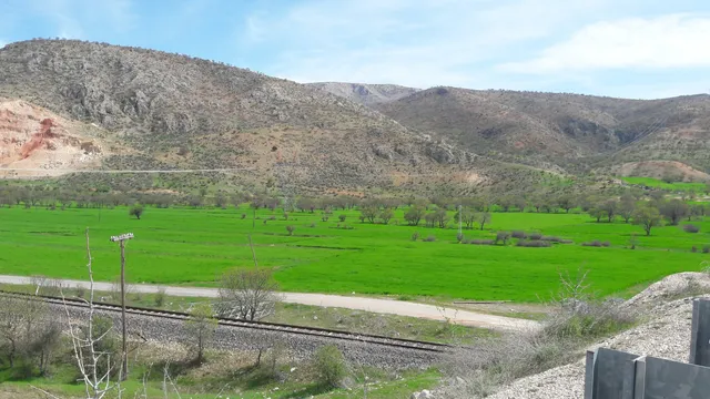 Leventpinar Koyu Muhtarligi