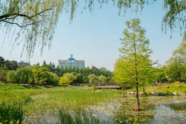 Boramae Park