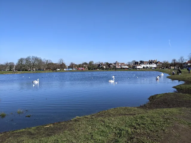 Wimbledon and Putney Commons