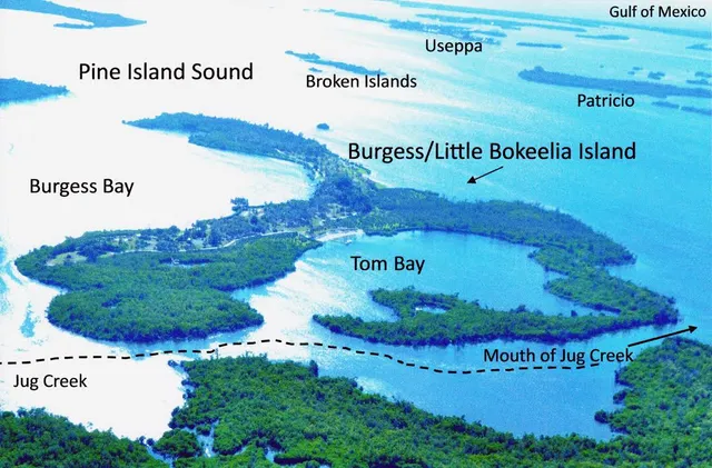 Bokeelia Island