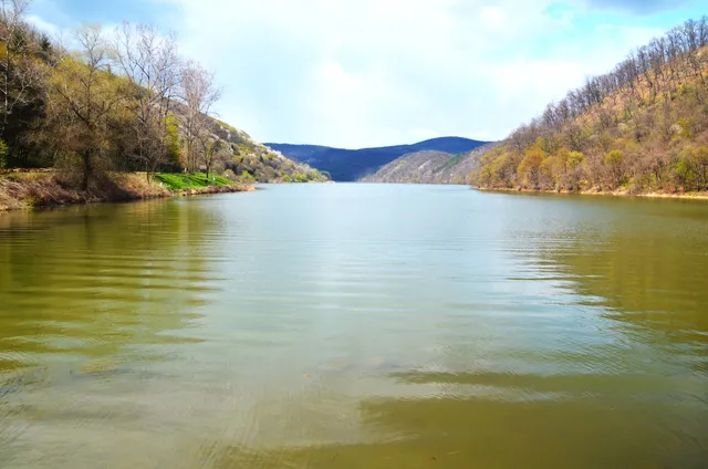 Szalamandra tanösvény