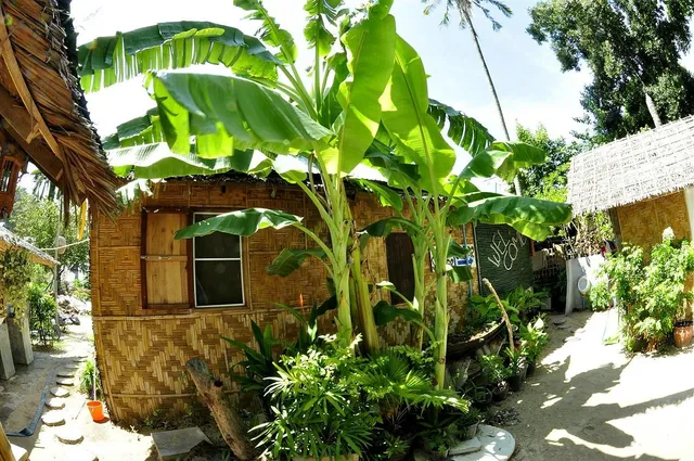 Blanco Beach Bar & Hostel