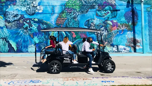 Miami Wynwood Arts District Graffiti Street Art Golf Cart Tour