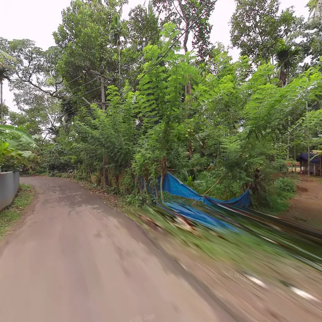 Love and Peace Homestay