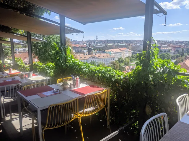 St. Wencesla's Vineyard