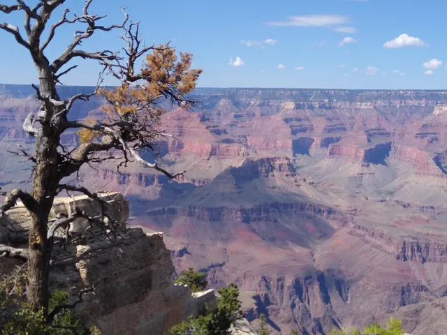Grand Canyon Visitor - Kaibab Rim (Orange Route)