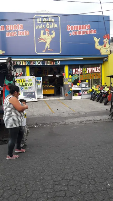 El Gallo más Gallo • Quinta Samayoa