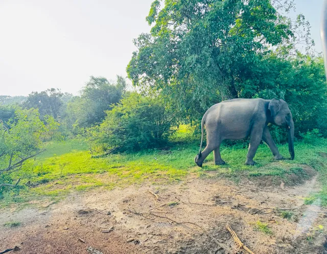 Marvelous Travel and Tours