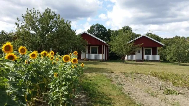 Rockneby Bed & Breakfast & Gårdsbutik Rockneby