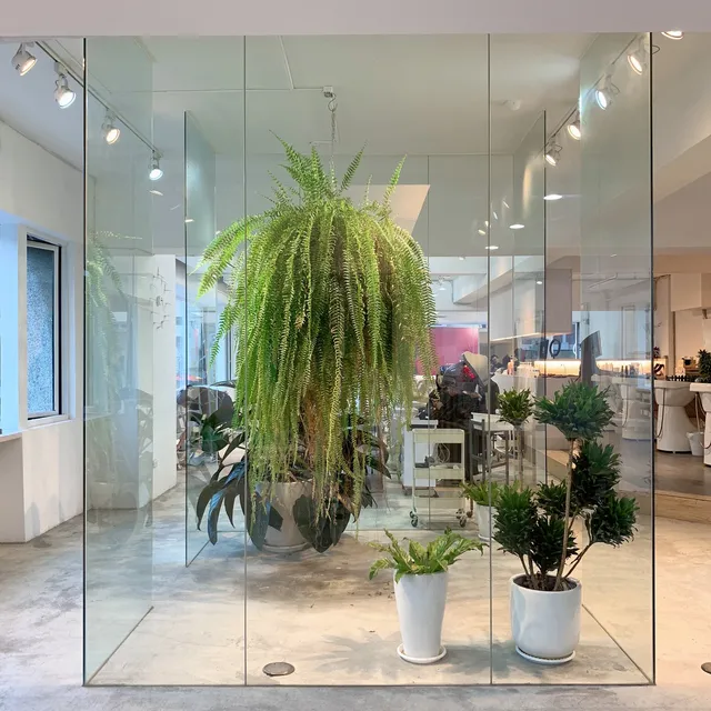 Korewa hair salon (大隆店)