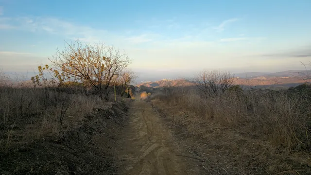 Quarter Horse Drive Trailhead