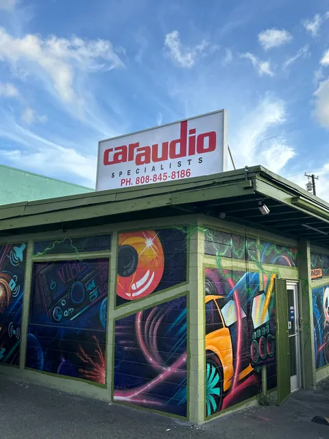 Car Audio & Security Specialists