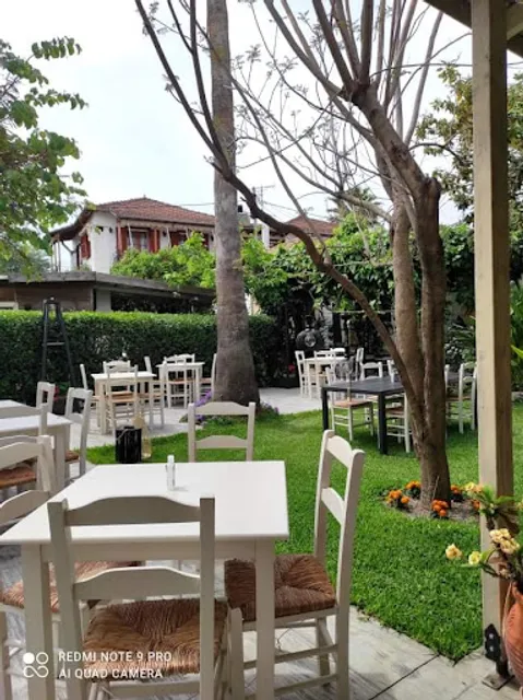 Πιπεροριζα-Piperoriza