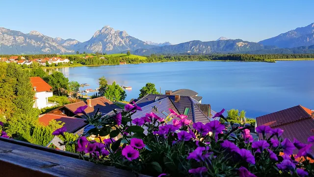 Ferienhaus Traumblick