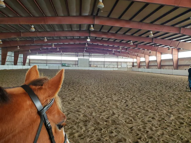 Wind River Arena & Stables