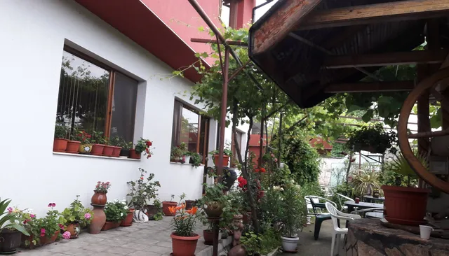 Kladenetsa Guest House