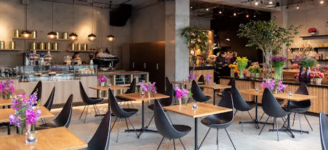 Nicolai Bergmann NOMU