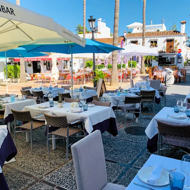 DELHI DARBAR BENAHAVIS