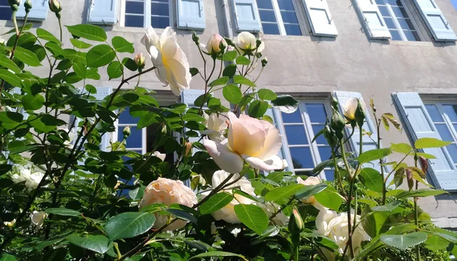 Chambres D'hôtes La Carrierrasse