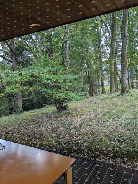 photo-3