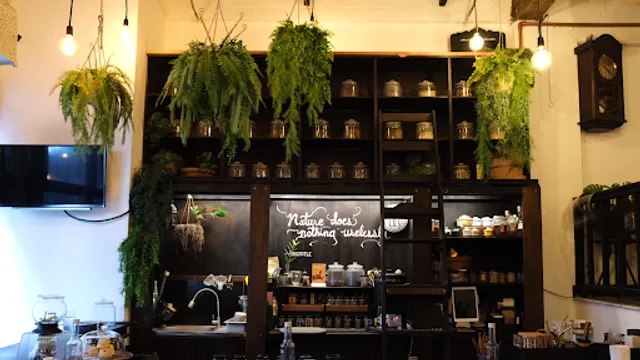 TE TIME AND SPACE ที ไทม์ แอนด์ สเปซ