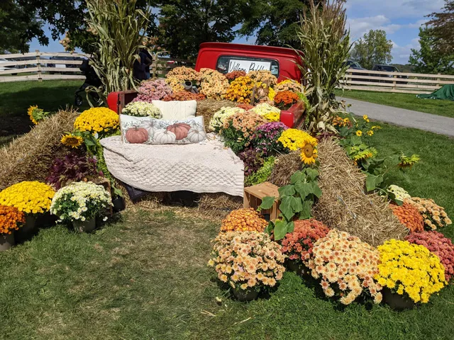 Village Peddler Festival