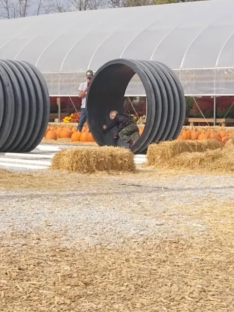 Roadside Farm Market