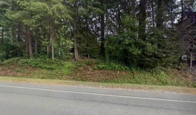 Camp Barry Dog Rescue