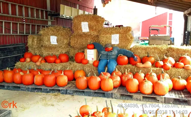 Fisher’s Produce Stand
