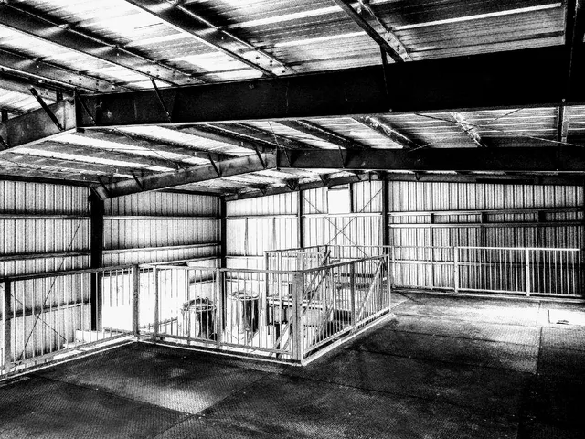 A Little Madness Brewing Company