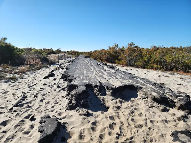 Life of the Dunes Trail