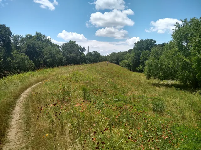 Yett Creek Neighborhood Park