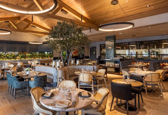 The Amalfi Llama - San Diego