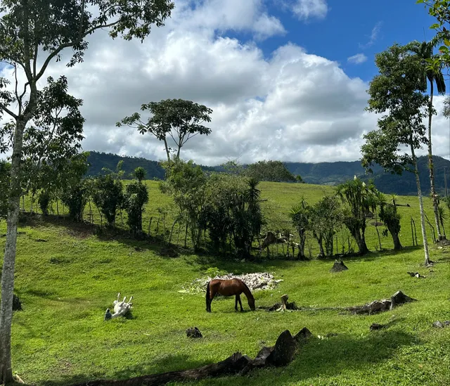 Finca Soley. Horse Riding School and Lodge.