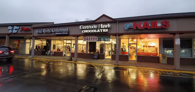 Gertrude Hawk Chocolates