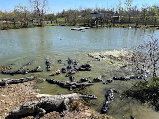 Greenwood Gator Farm & Tours