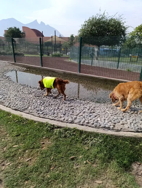 Zona Canina | Parque Fundidora