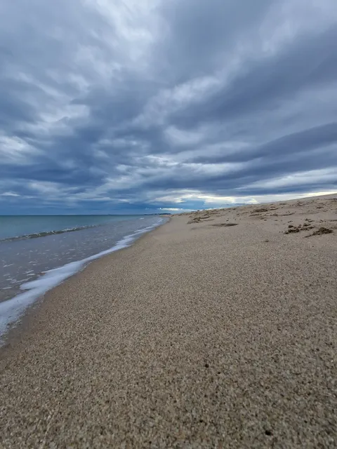 Parc natural de l'Albufera, El Saler