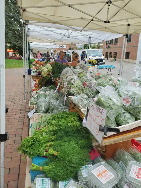 Bath Farmers market